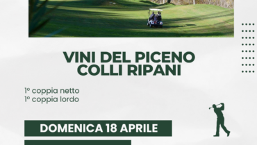 VINI DEL PICENO COLLI RIPANI